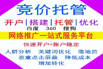Sem优化公司案例：精准广告投放策略解析